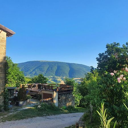 Le Ginestre Guesthouse Асизи Екстериор снимка