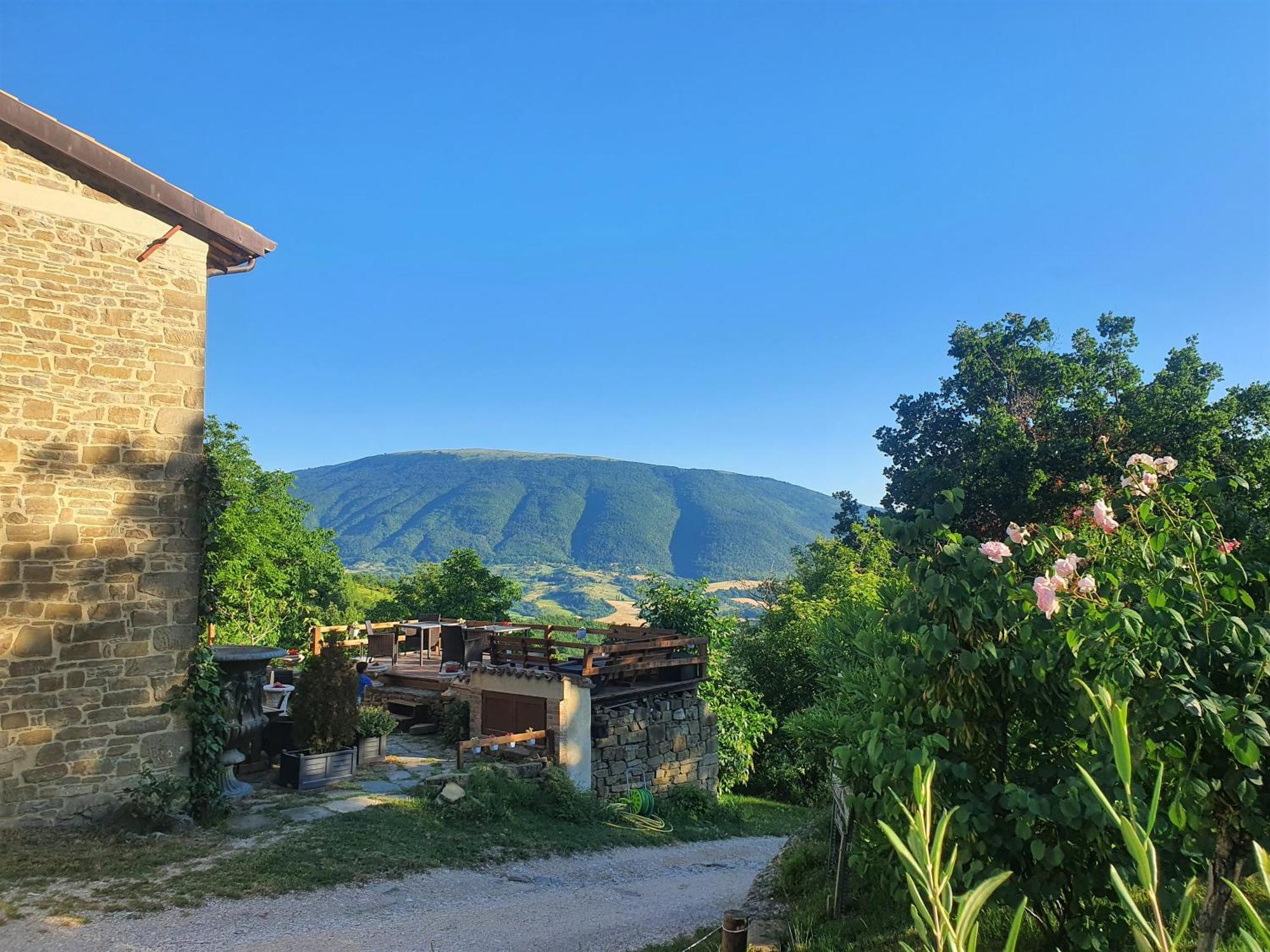 Le Ginestre Guesthouse Асизи Екстериор снимка